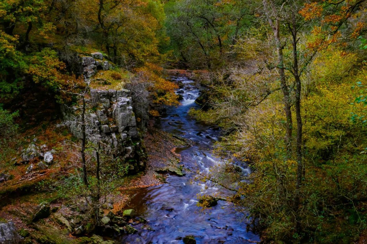 Waterfall Lodge Pontneddfechan Zewnętrze zdjęcie